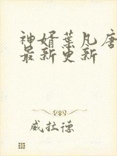 神婿叶凡唐若雪最新更新