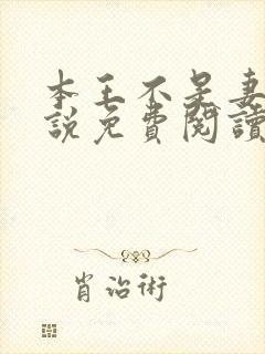 本王不是妻奴小说免费阅读