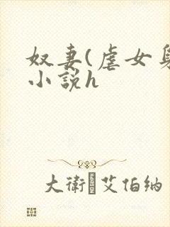 奴妻(虐女身)小说h