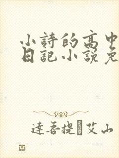 小诗的高中成长日记小说免费阅读