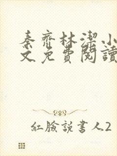 秦齐林洁小说全文免费阅读最新章节封面