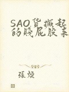 SAO货撅起你的贱屁股来