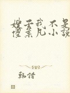 嫂子我不是真的傻叶凡小说免费阅读