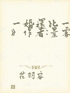 一婚还比一婚高》作者:晨雾的光