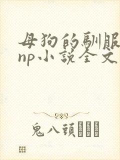 母狗的驯服之路np小说全文在线阅读