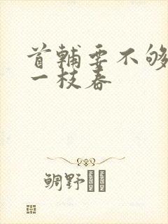 首辅要不够po一枝春