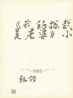 《我的总裁白富美老婆》小说