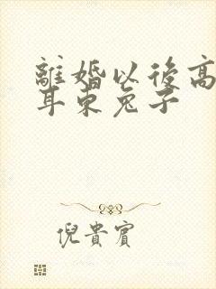 离婚以后高干 耳东兔子封面