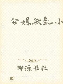 公媳欲乱小说