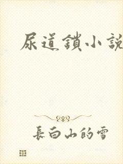 尿道锁小说