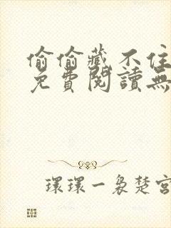 偷偷藏不住全文免费阅读无弹窗封面