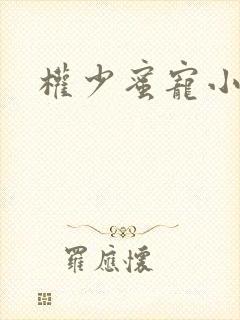 权少蜜宠小娇妻