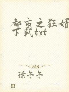 都市之狂婿战神下载txt