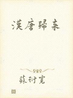 汉唐归来