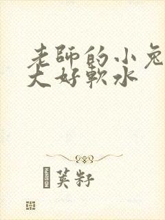 老师的小兔子好大好软水