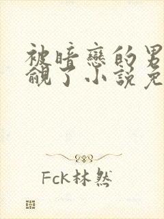 被暗恋的男神觊觎了小说免费阅读