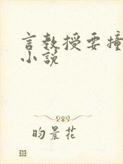 言教授要撞坏了小说封面