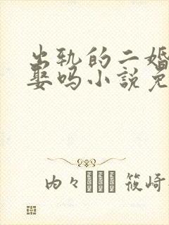 出轨的二婚女敢娶吗小说免费阅读