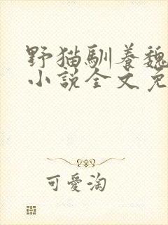 野猫驯养魏承泽小说全文免费阅读无弹窗