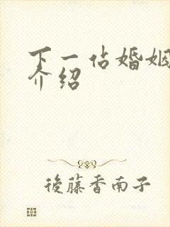 下一站婚姻剧情介绍
