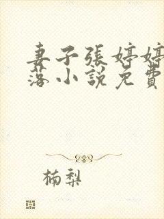 妻子张婷婷的坠落小说免费阅读封面