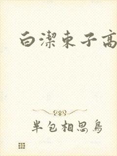 白洁东子高义