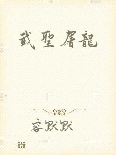 武圣屠龙封面