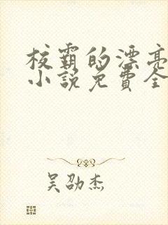 校霸的漂亮继父小说免费全文阅读