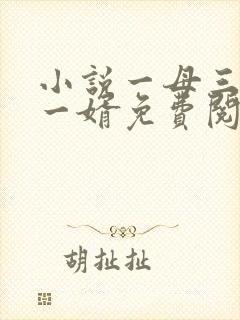 小说一母三女共一婿免费阅读封面