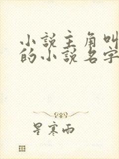 小说主角叫叶凡的小说名字