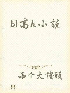 bl高h小说