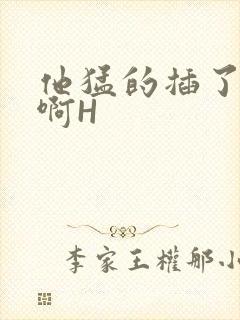 他猛的插了进去啊H封面