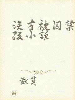 没有被囚禁的女孩小说