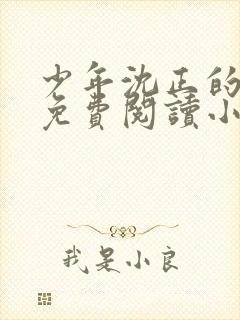 少年沈正的香艳免费阅读小说全文