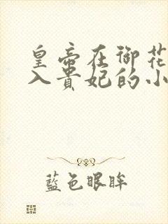 皇帝在御花园进入贵妃的小说