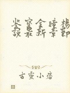 鉴宝金瞳杨波小说最新章节封面