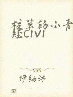 校草的小青梅不经C1V1