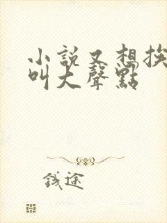 小说又想挨C了叫大声点封面
