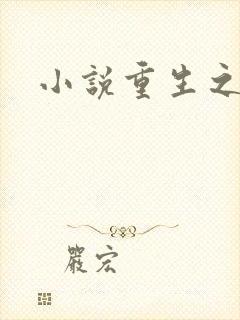 小说重生之官道
