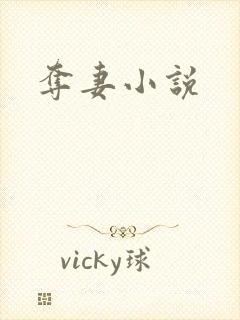夺妻小说封面