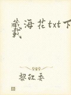 藏海花txt下载