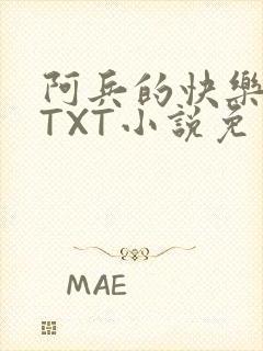阿兵的快乐生活TXT小说免费阅读全章