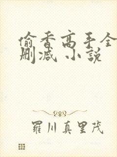 偷香高手全文无删减 小说