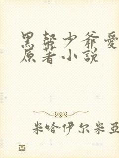 黑帮少爷爱上我原著小说封面