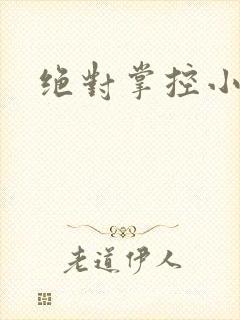 绝对掌控小说