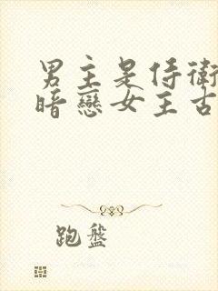男主是侍卫从小暗恋女主古言