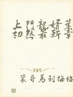 上门龙婿叶辰萧初然最新章节列表