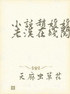 小说赵媛媛与王老汉在线阅读