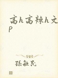 高h高辣h文np封面