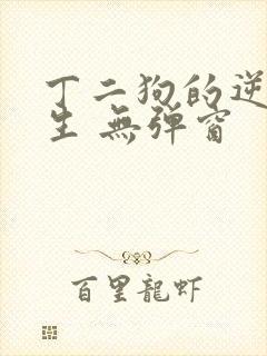 丁二狗的逆袭人生 无弹窗